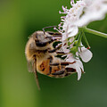 Beeing AB